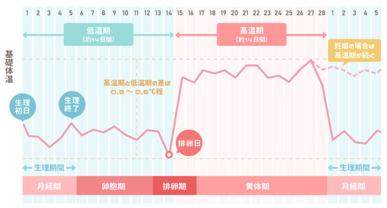 【チェックリスト】妊娠初期症状はいつからどんな症状がでる？生理前との違いは？ エナレディースクリニック