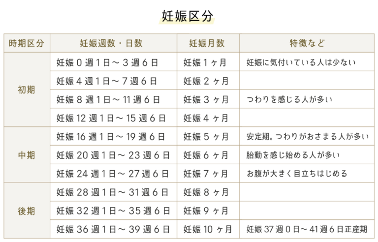 妊娠週数・月数の数え方や計算方法とは？出産予定日の出し方もご紹介 エナレディースクリニック