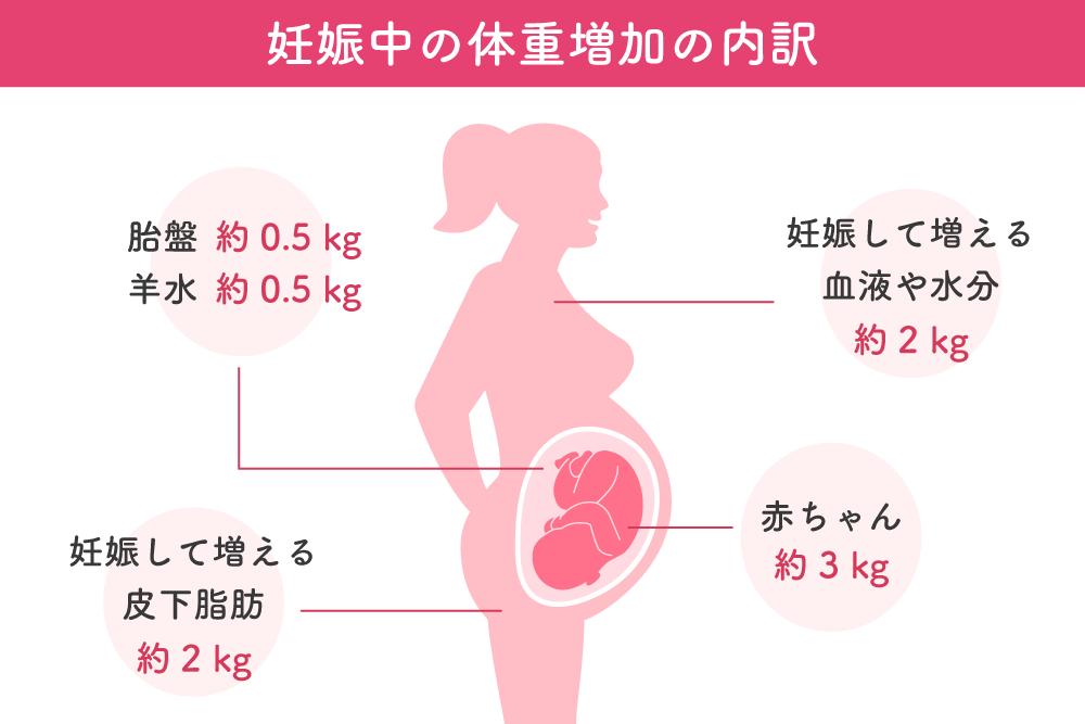 妊娠中の体重増加の内訳